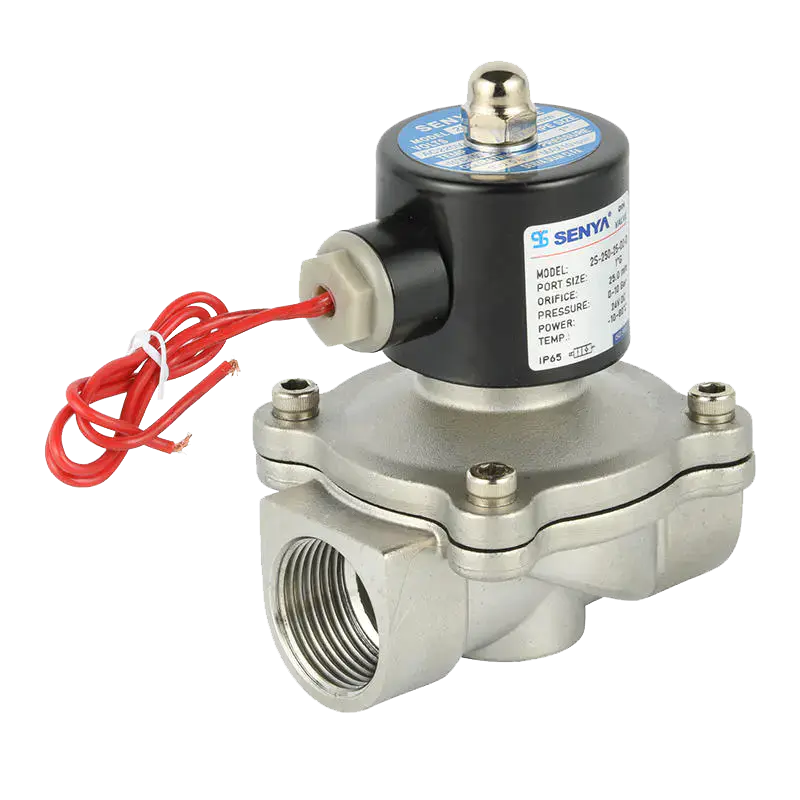 2S Series Stainless Steel Direct-Acting Solenoid Valve for Acid and Alkali Media
